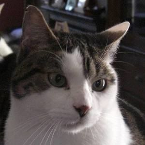 Meet your Posher, Casey